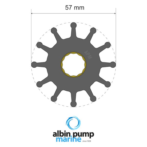 Albin Pump Marine® - Premium 12-Blade Neoprene 2-1/4" D Spline Drive Impeller