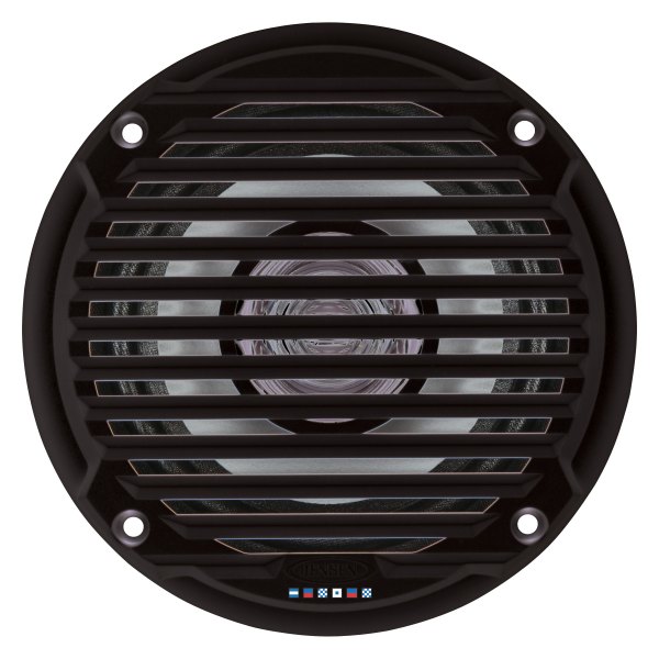 ASA Electronics® - 30W 2-Way 4-Ohm 5.25" Black Flush Mount Speaker