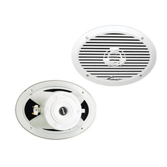 Audiopipe® - Coaxial Marine Speaker