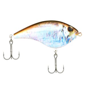 YUM Houdini Shad Soft Plastic Swim-Bait Fishing Lure with 3-Way Modifiable  Tail for Custom Tail Action, 5 Inch Length, 10 per Pack
