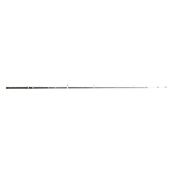BnM Fishing® - Silver Cat Catfish Series 8' 2-Piece Spinning Rod