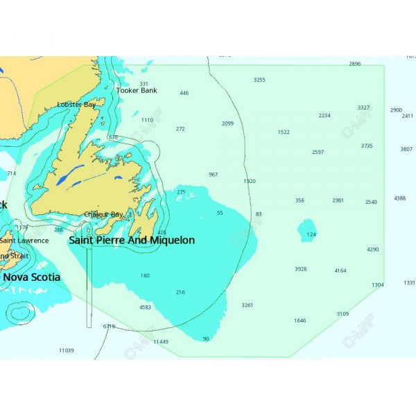 C-MAP® - 4D Local Newfoundland microSD Format Electronic Chart
