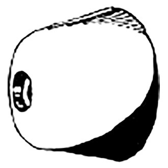 Camp Company® SM201180 - 1-11/16" x 1-7/8" Zinc Bow Thruster Anode