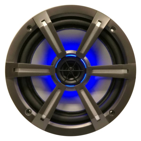 CPS Marine® - 6.5" 165W 2-Way 4-Ohm Black Flush Mount Speaker