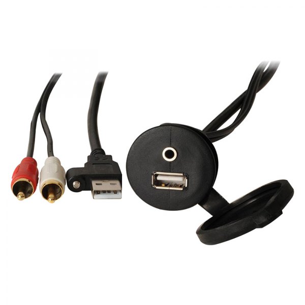 Fusion® - USB/Auxiliary Input Plug