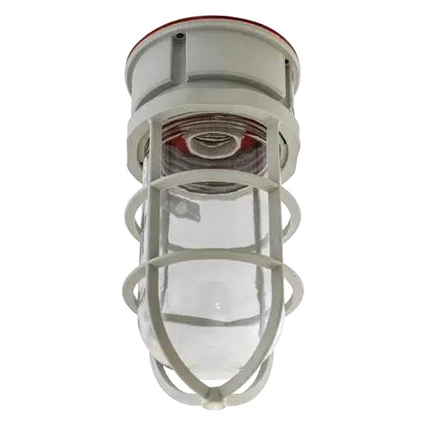 Hubbell® - Pendant Mount Vaportight Light Fixture