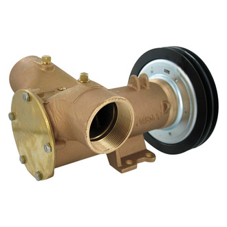 Jabsco® - 11810 Series 115 V 570 GPH Electric Impeller Utility Pump