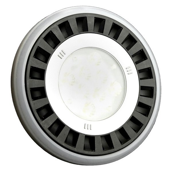 Lunasea Lighting® - 12/24V DC 850lm White LED Light Bulb