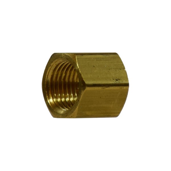 Midland Metal® - 1/4" NPT(F) Brass Pipe Hex Cap