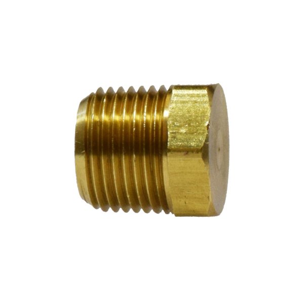 Midland Metal® - 1/4" NPT(F) Cored Brass Hex Head Plug