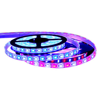 Scandvik® - 16'L 12V DC Clear Silicone Surface Mount LED Strip Light