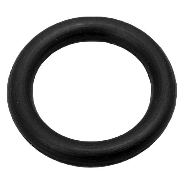Sierra® - Drain Plug O-Ring