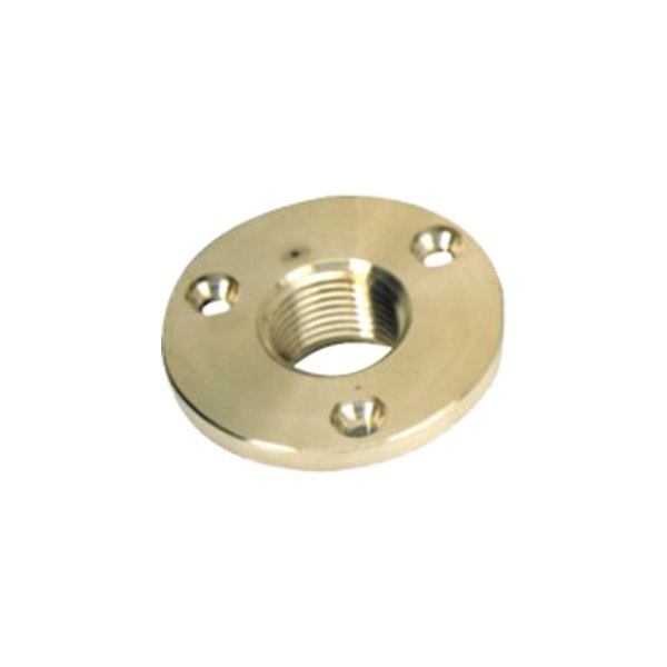 Whitecap® - 1/2" IPT Bronze Garboard Flange & Drain Plug