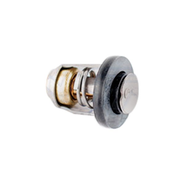 WSM® - Thermostat